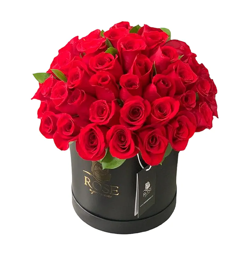 Caja Cir. 20 - 48 Rosas Cúpula